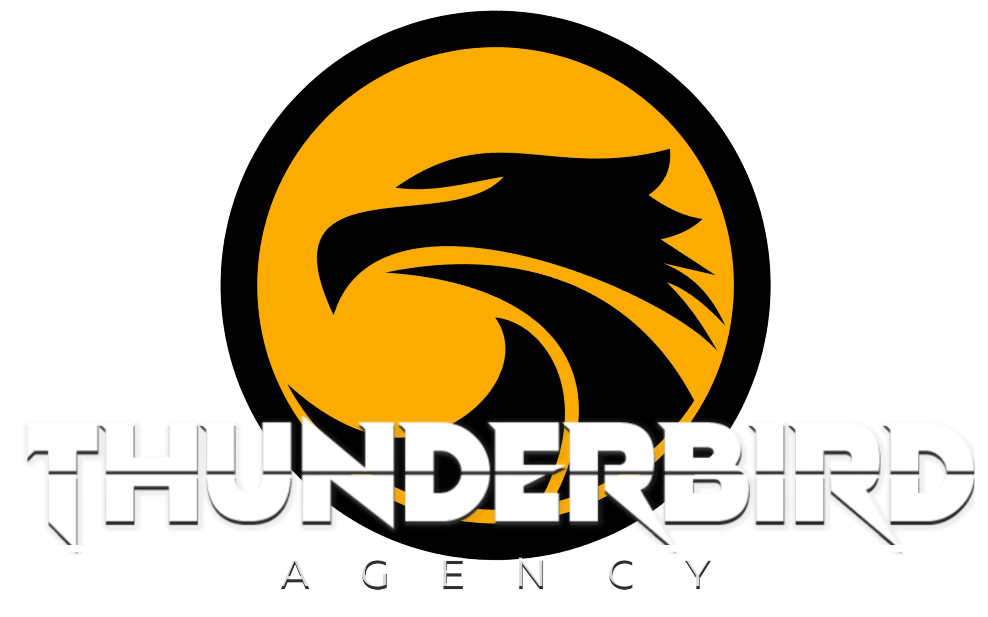 Thunderbird Agency logo